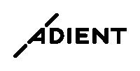 Adient Components Ltd. & Co. KG