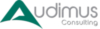 Audimus Consulting