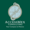 AccessMex Consulting